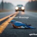 15 Spiritual Meanings Of Hitting A Bird While Driving