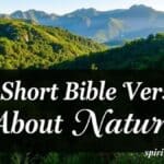 25 Short Bible Verses About Nature