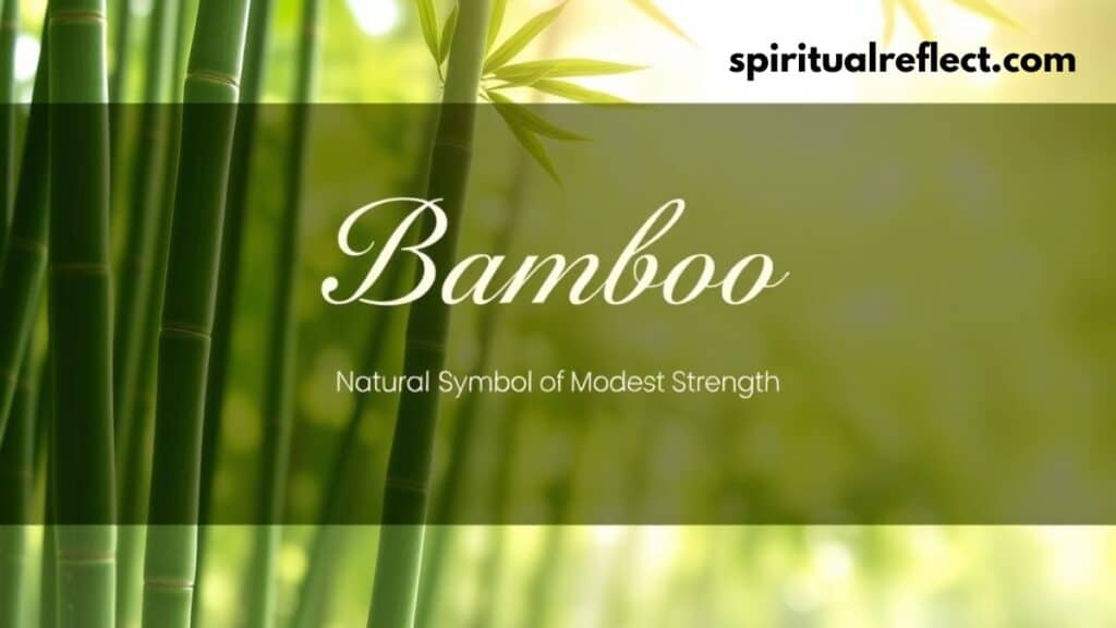 12 Humility Symbols in Different Cultures