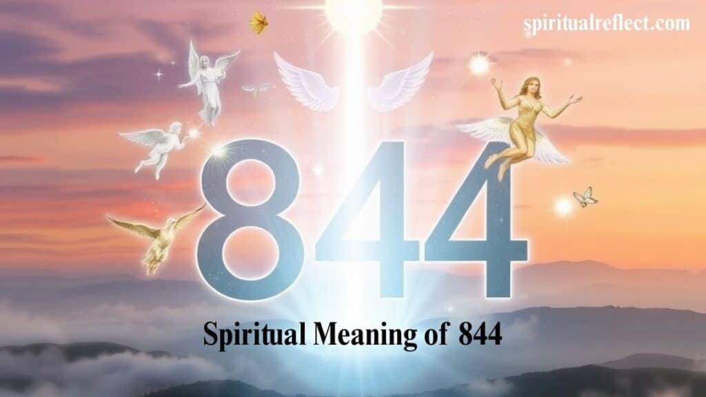 844 Angel Number