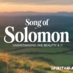 Understanding the Beauty of Song of Solomon 4:7