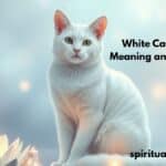 White Cat Spiritual Meaning and Symbolism