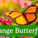 Orange butterfly: Spiritual Significance