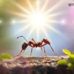 Spiritual Meaning of Ant in Your Home.