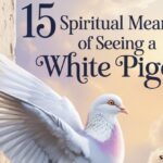 15 Spiritual Meanings Of Seeing a White Pigeon