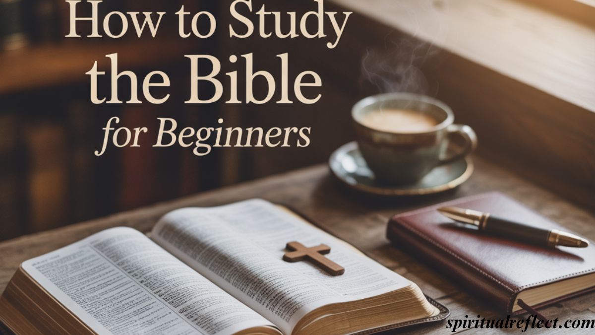 How to Study the Bible for Beginners