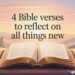 4 Bible Verses to Reflect on All Things New