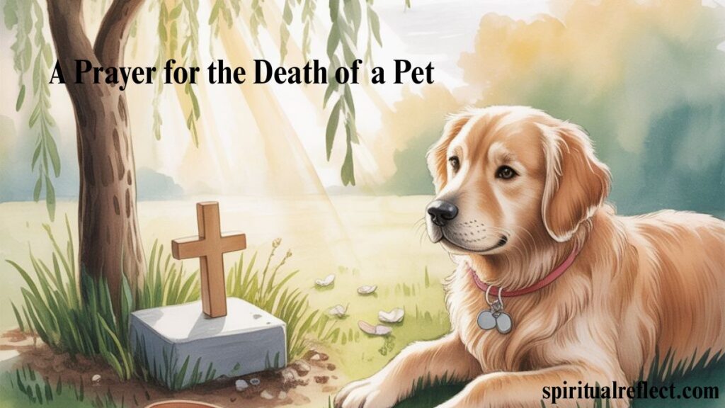 A Prayer for the Death of a Pet