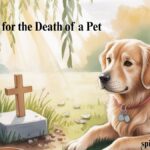 A Prayer for the Death of a Pet