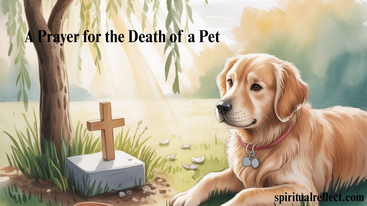 A Prayer for the Death of a Pet