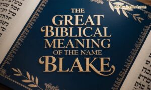 The Great Biblical Meaning of the Name BLAKE